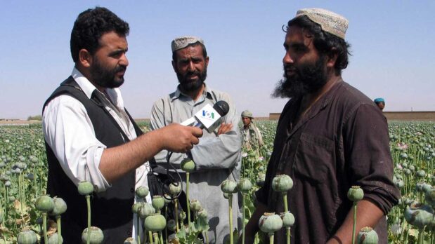 VOA reporter interviewing Afghan poppy cultivators. (VOA/public domain)
