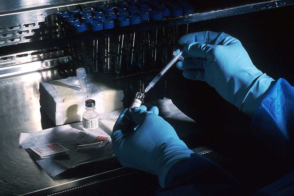 A vaccine under development (John Keith/NIH)